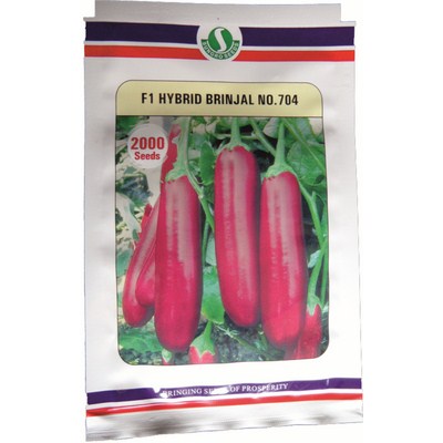 Sungro Brinjal 704