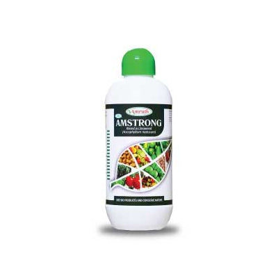 Amstrong (Seaweed Ascophyllum Nodosum)