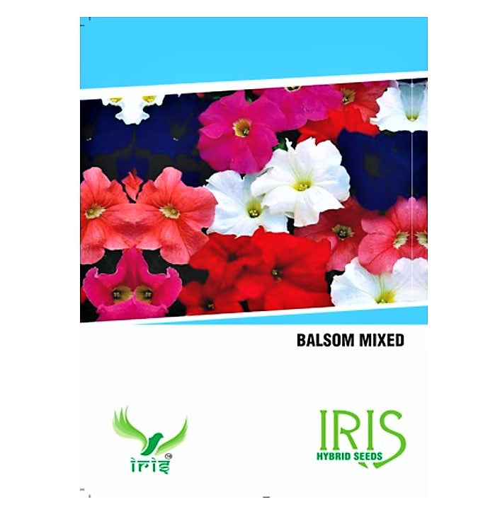 Iris F1 Balsam Mix