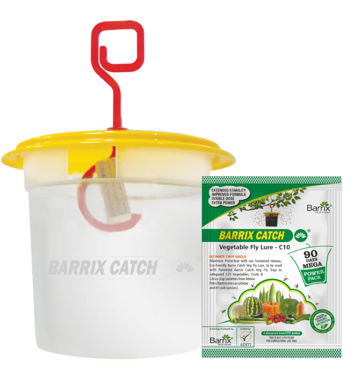 Barrix Catch Vegetable Fly Lure - C10 & Trap
