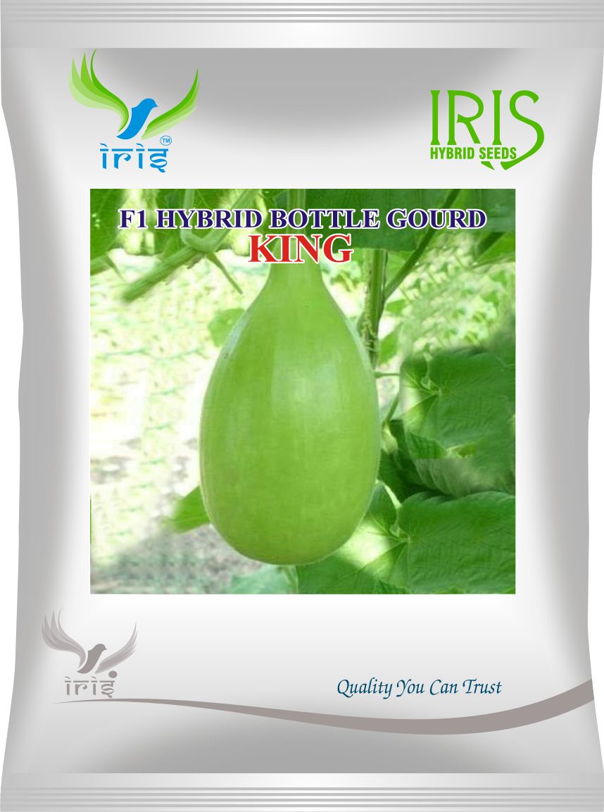 BottleGourd / Lauki F1 Iris King
