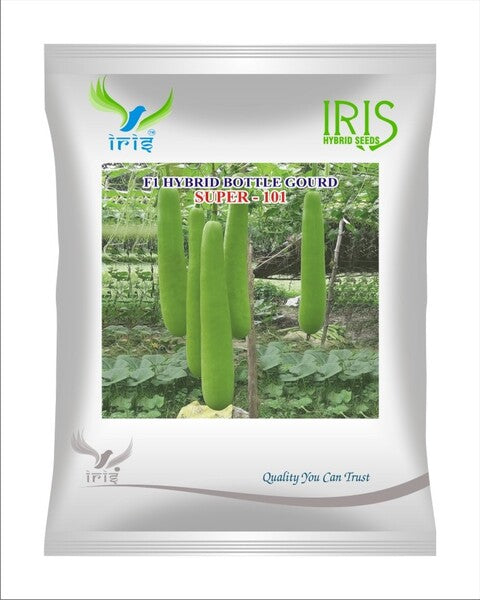 BottleGourd / Lauki F1 Iris Super 101