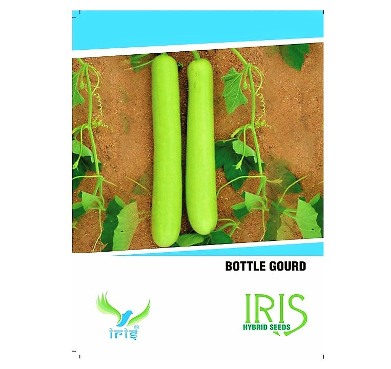 Iris F1 BottleGourd / Lauki - Long