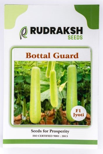Bottlegourd / Lauki F1 Jyoti
