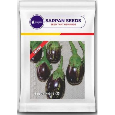 Brinjal Sarpan 25