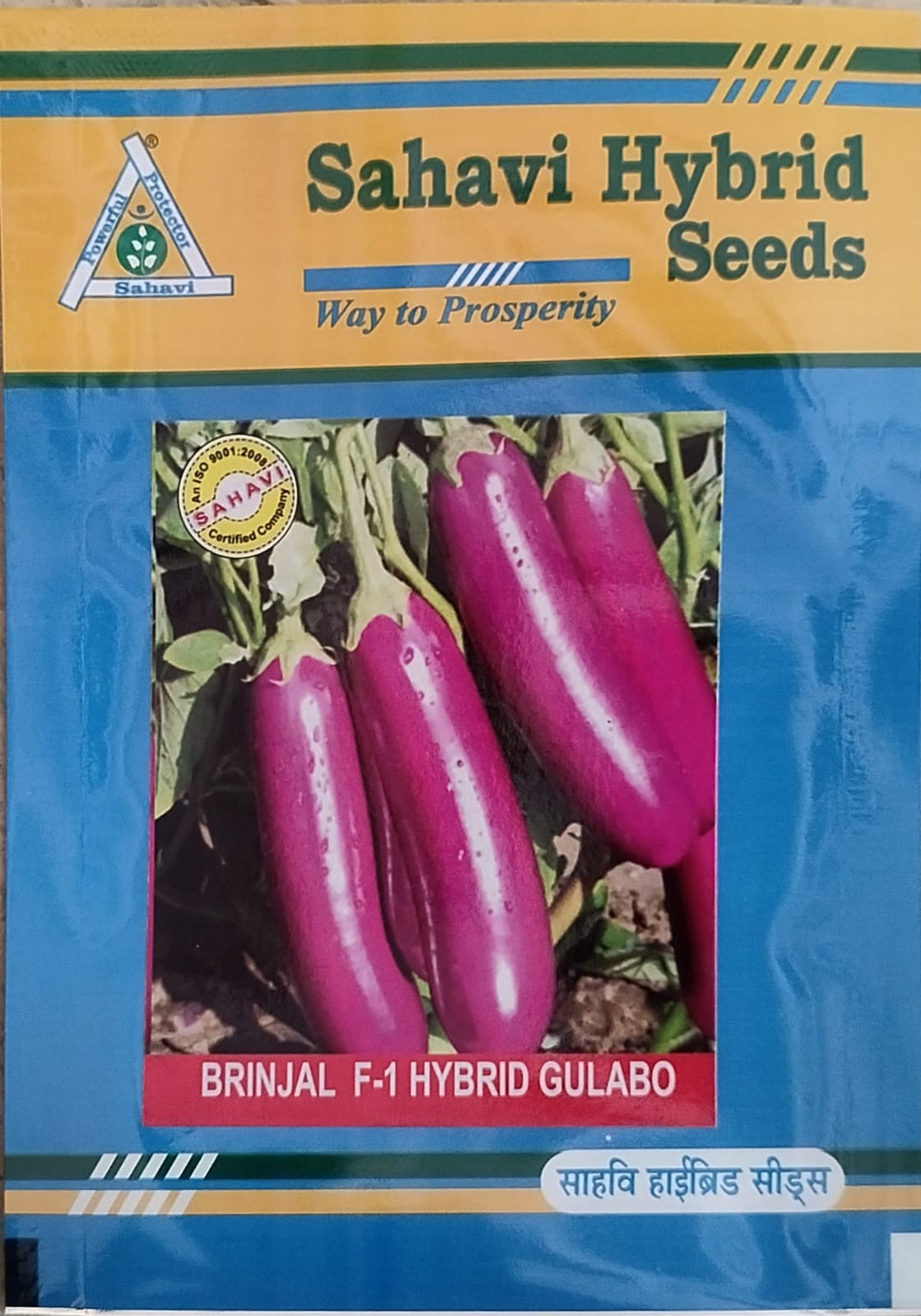 Brinjal Gulabo