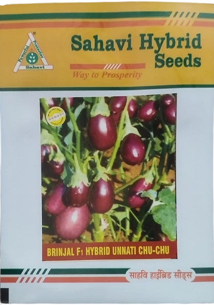 Brinjal F1 Unnati Chu Chu