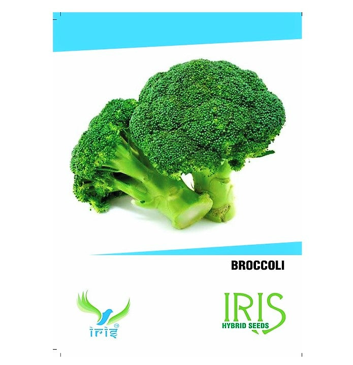 Iris F1 Broccoli