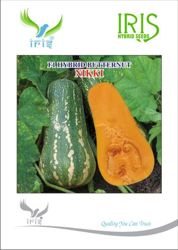 Butternut F1 Iris Nikki