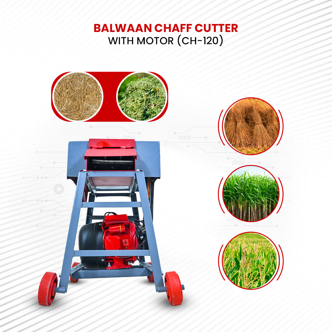Balwaan Krishi Chaff Cutter with 2HP Motor CH-120