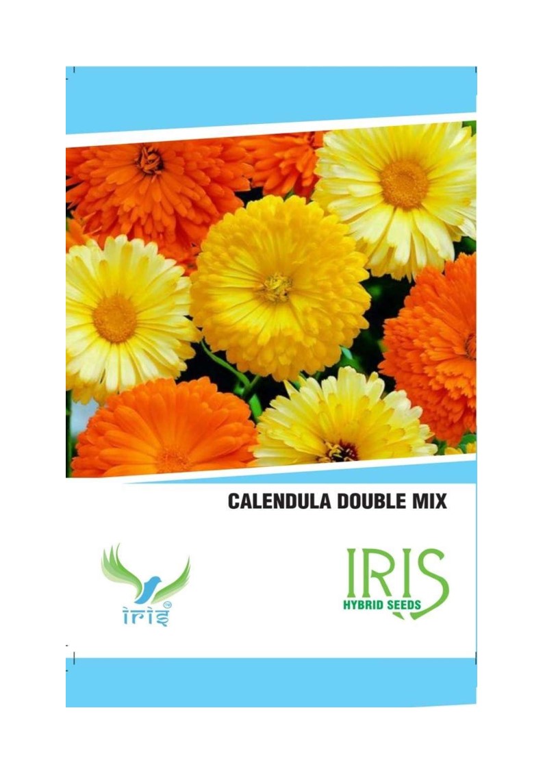 Iris Imported Calendula Mix