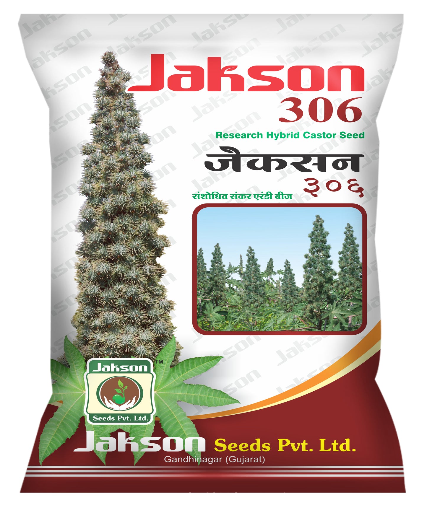 Jakson 306 Research Hybrid Castor Seed