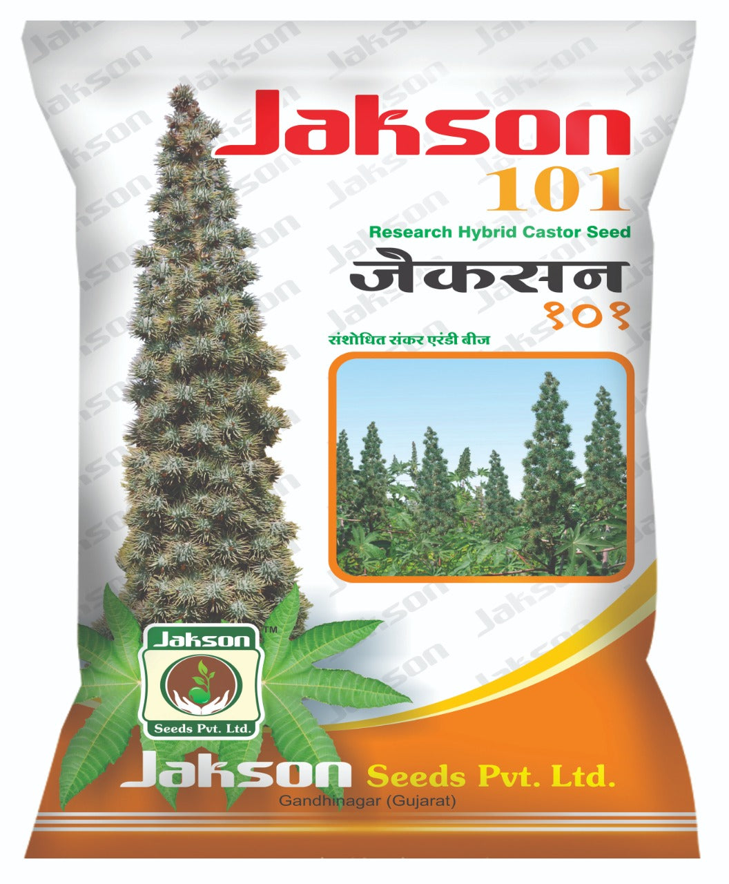 Jakson 101 Research Hybrid Castor Seed