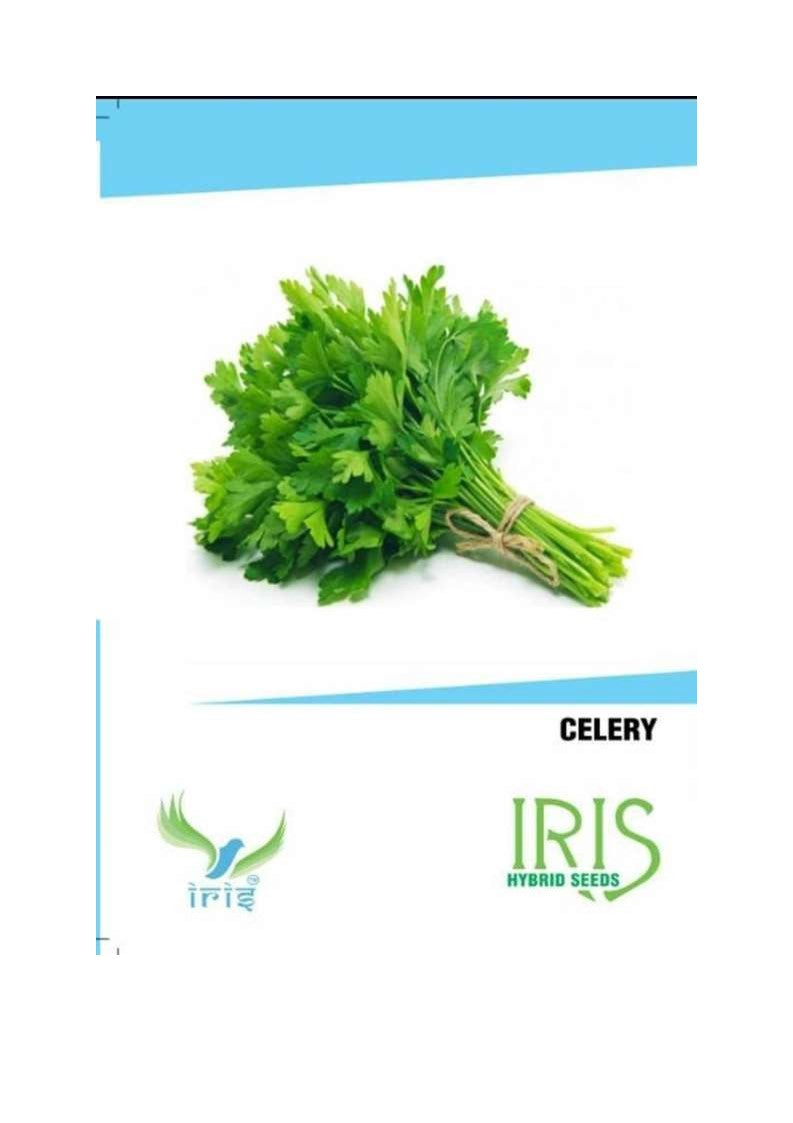 Iris Imported Celery