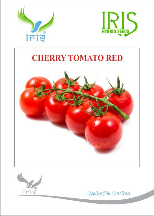 Iris Imported Cherry Tomato Red - 10 grams