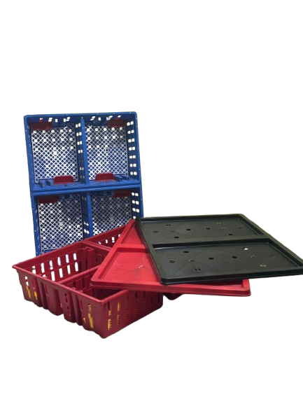 V-Arch Chick Transport Box
