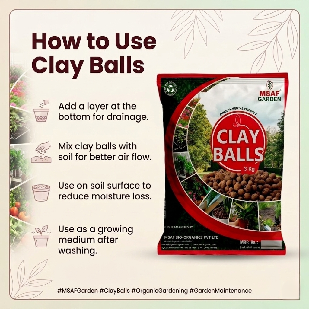 MSAF Clay Balls