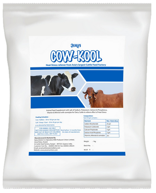 Amul Cow-Kool 10 x