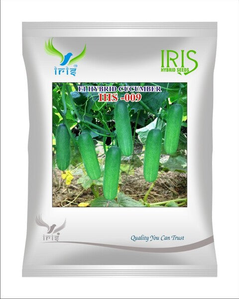 Cucumber / Kakri F1 Iris IHS-009 - 20 grams