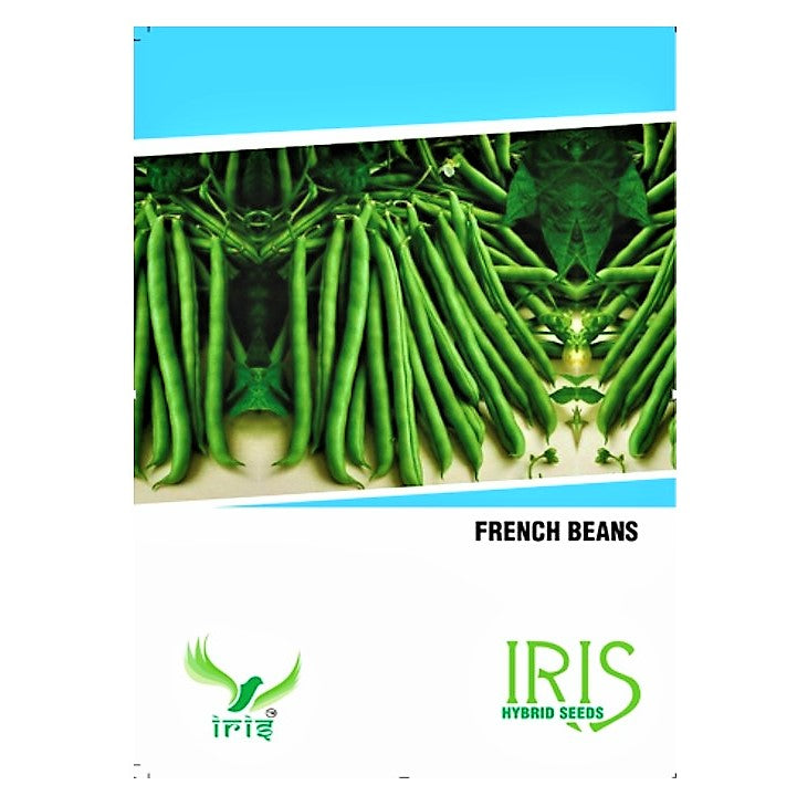 Iris OP French Beans