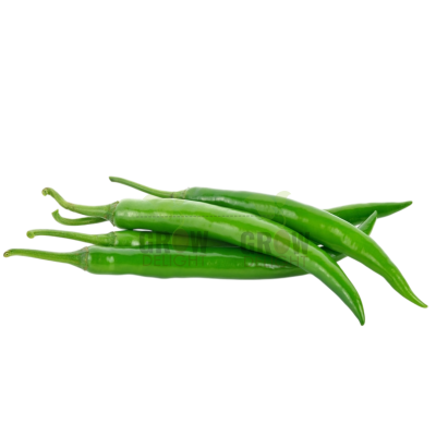 Chilli / Hot Pepper F1 Green Fire