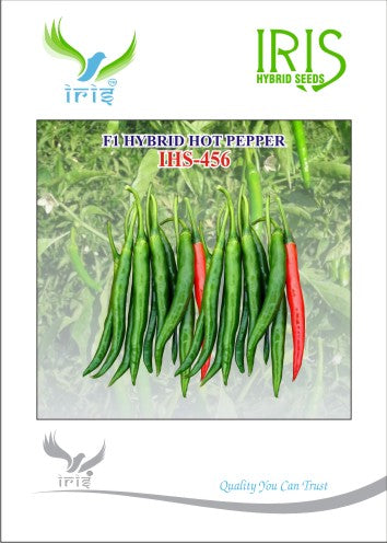 Chilli / Hot Pepper F1 Iris IHS-456 10 grams