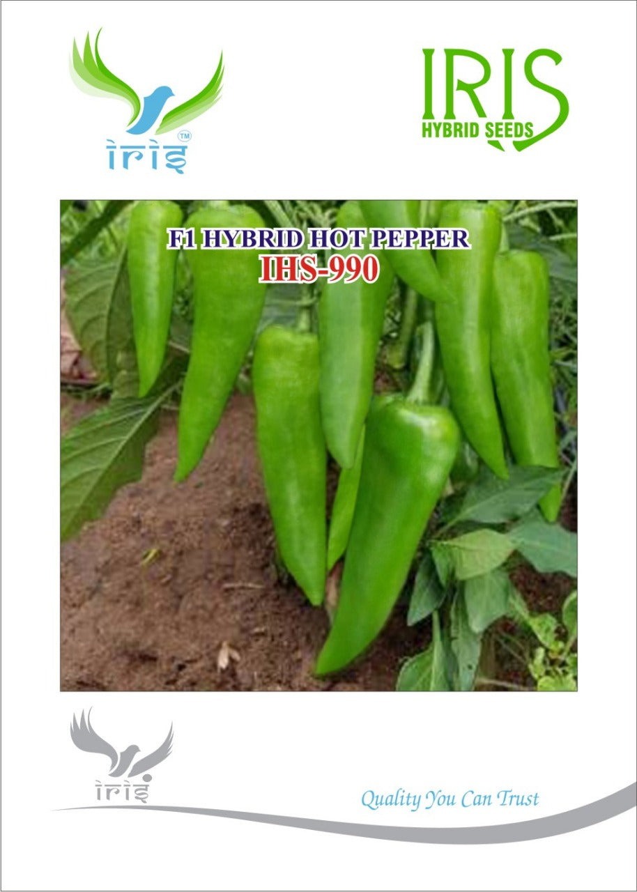 Chilli / Hot Pepper F1 Iris IHS-990 10 grams