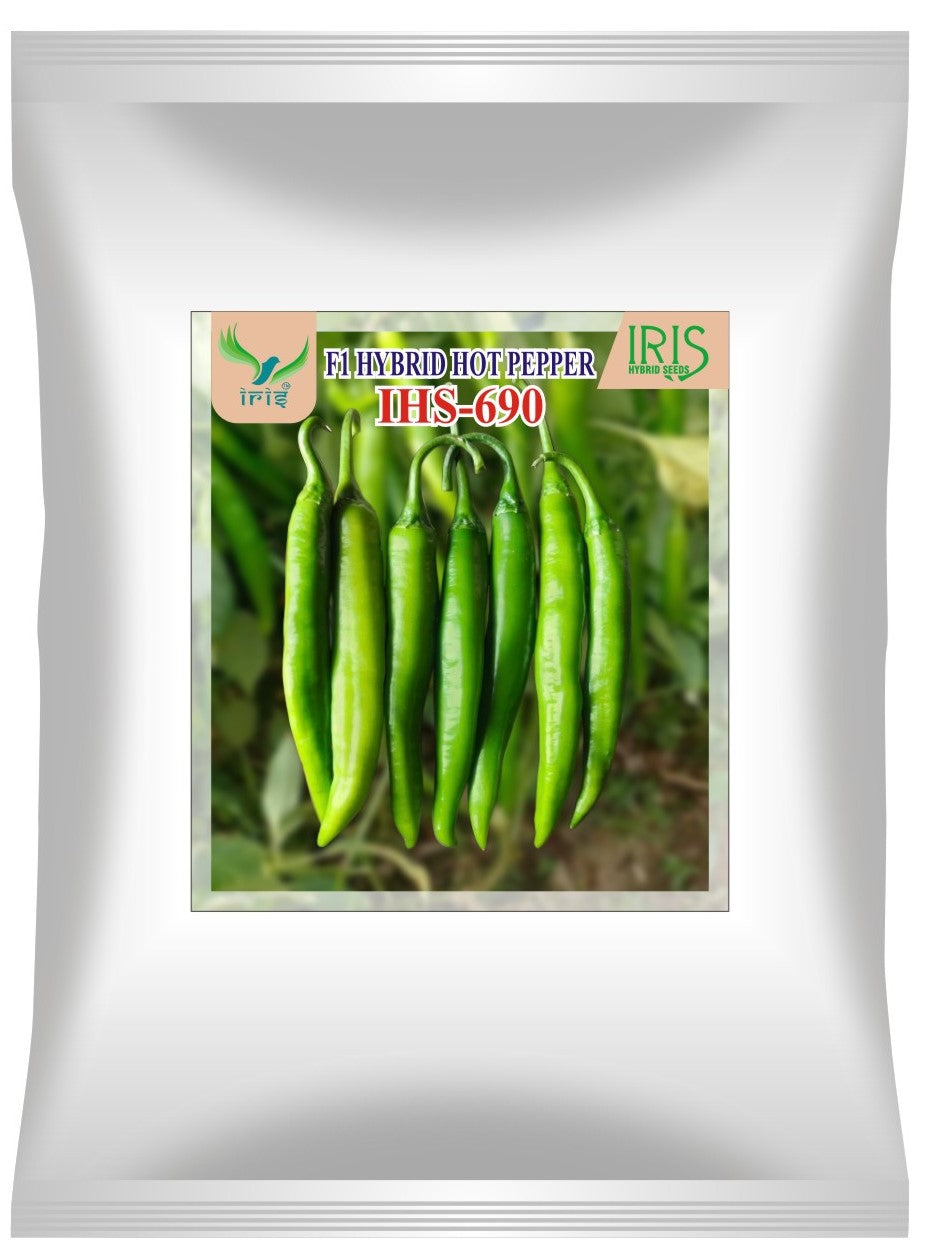 Chilli / Hot Pepper F1 Iris IHS-690 10 grams