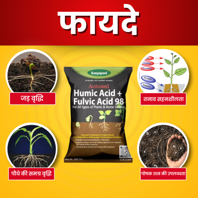 Katyayani Activated Humic Acid + Fulvic Acid 98% (For Bulk Order)