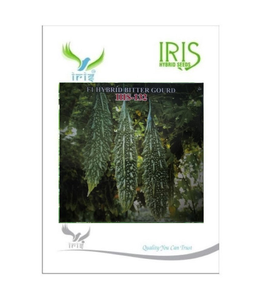 BitterGourd / Karela F1 Iris IHS-132 20 grams