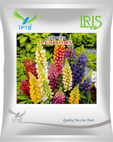 Iris Imported Lupin Mix