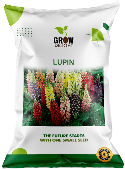 Grow Delight Imported Lupin - 600 seeds