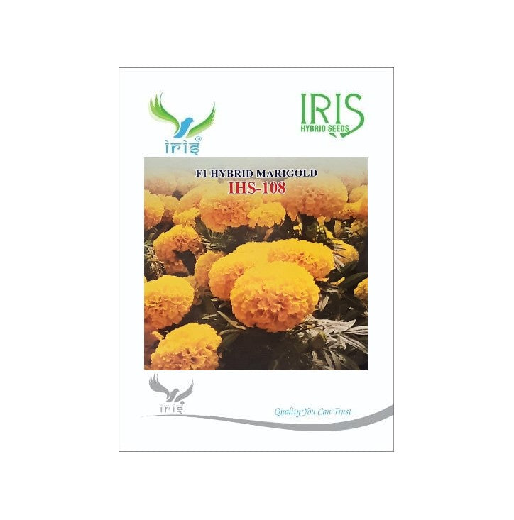 Marigold Yellow Iris F1 IHS-108 - 1000 seeds