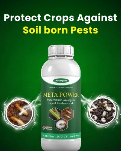 Katyayani Metarhizium Anisopliae Bio Pesticide