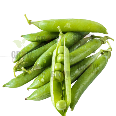Peas / Matar Green Treasure