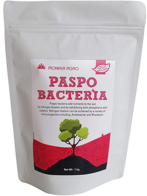 Phospho Bacteria