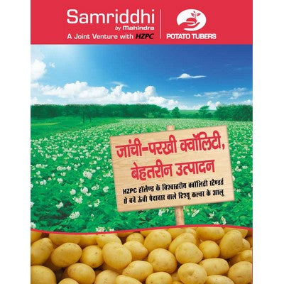 Potato Seeds Enquiry