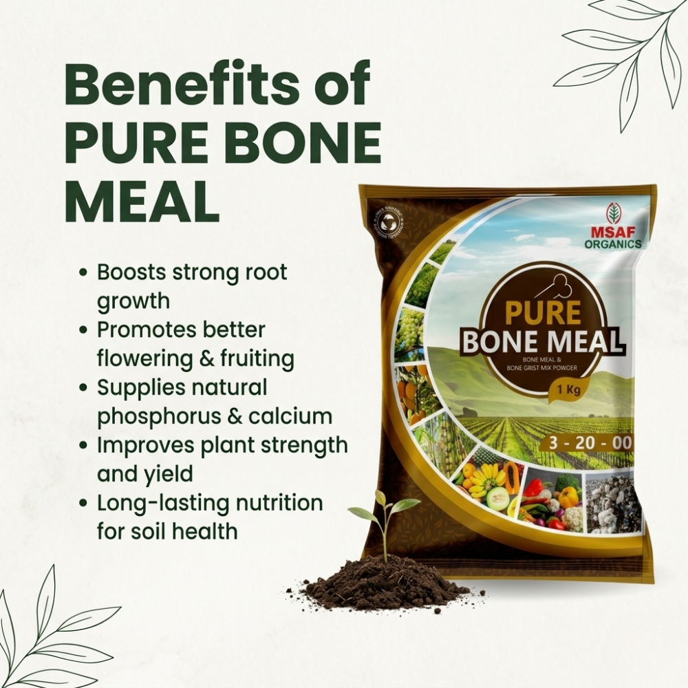 MSAF Pure Bone Meal