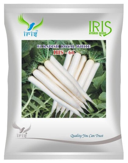 Radish F1 Iris Royal White IHS-66 50 grams
