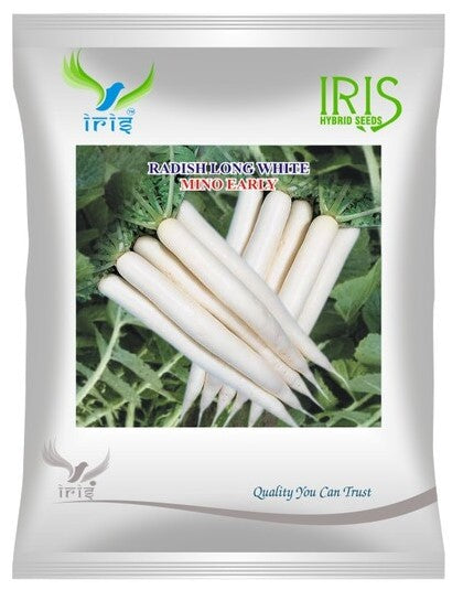 Radish Imported OP Iris Long White Mino Early