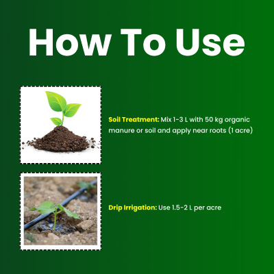 Katyayani Rhizogen - Rhizobium spp | Nitrogen Fixing Biofertilizer
