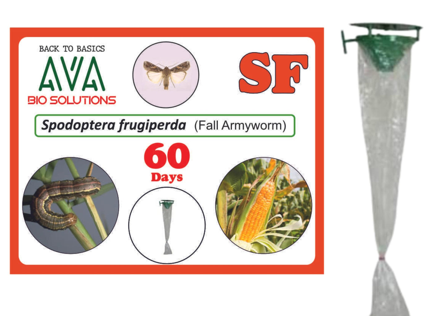 Ava Combo Pack of Funnel Pheromone Trap + SF Lure