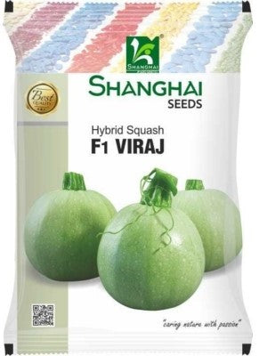 Squash F1 Viraj