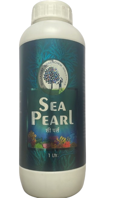Sea Pearl