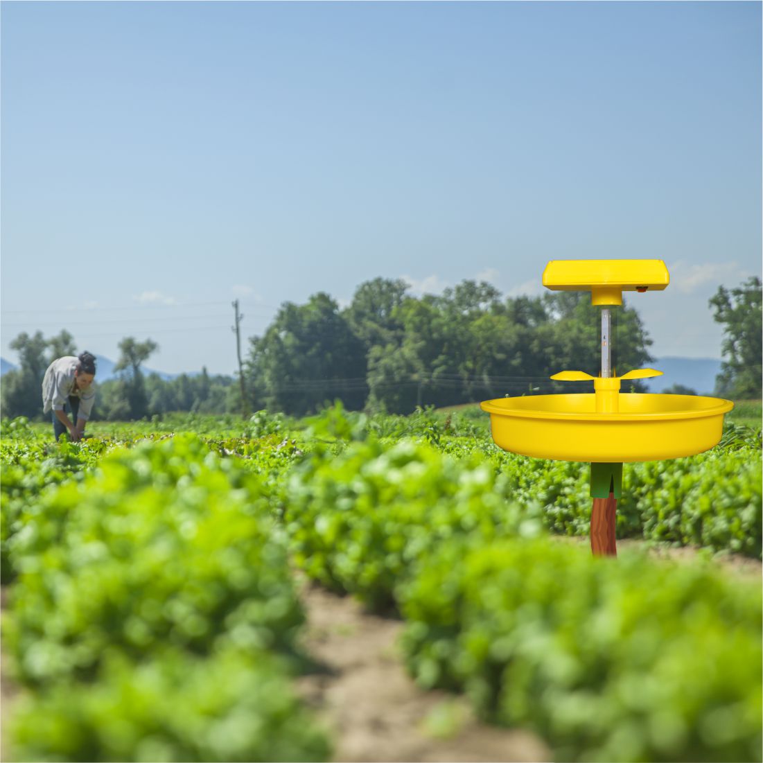 Green Revolution Solar Minichargeable Insect Light Trap To Control Flying Insect