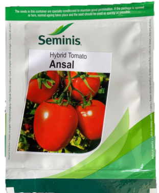 Seminis Tomato Ansal - 3500 Seeds
