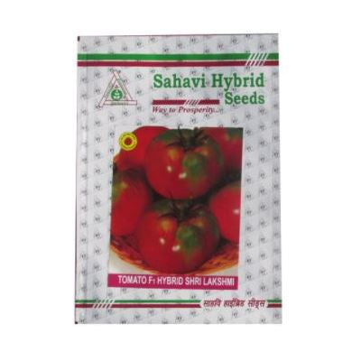 Tomato Shri Lakshmi