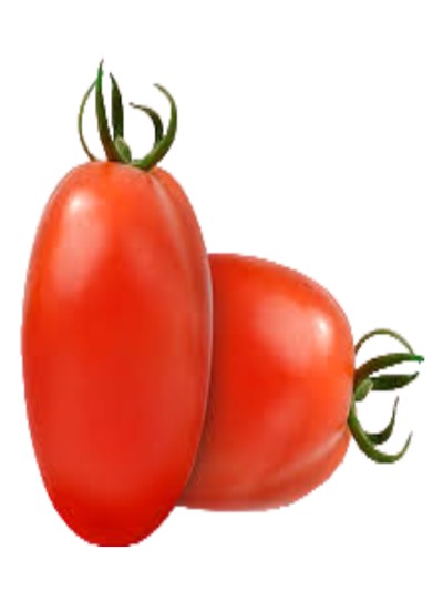 Tomato F1 Veda