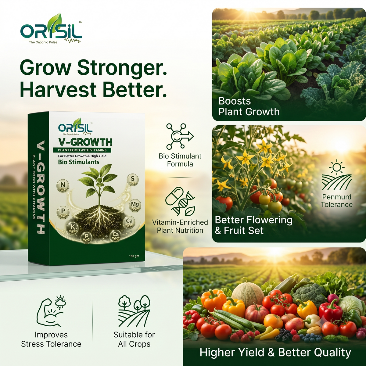 Annadata ORISIL V-Growth - Plant Food with Vitamins