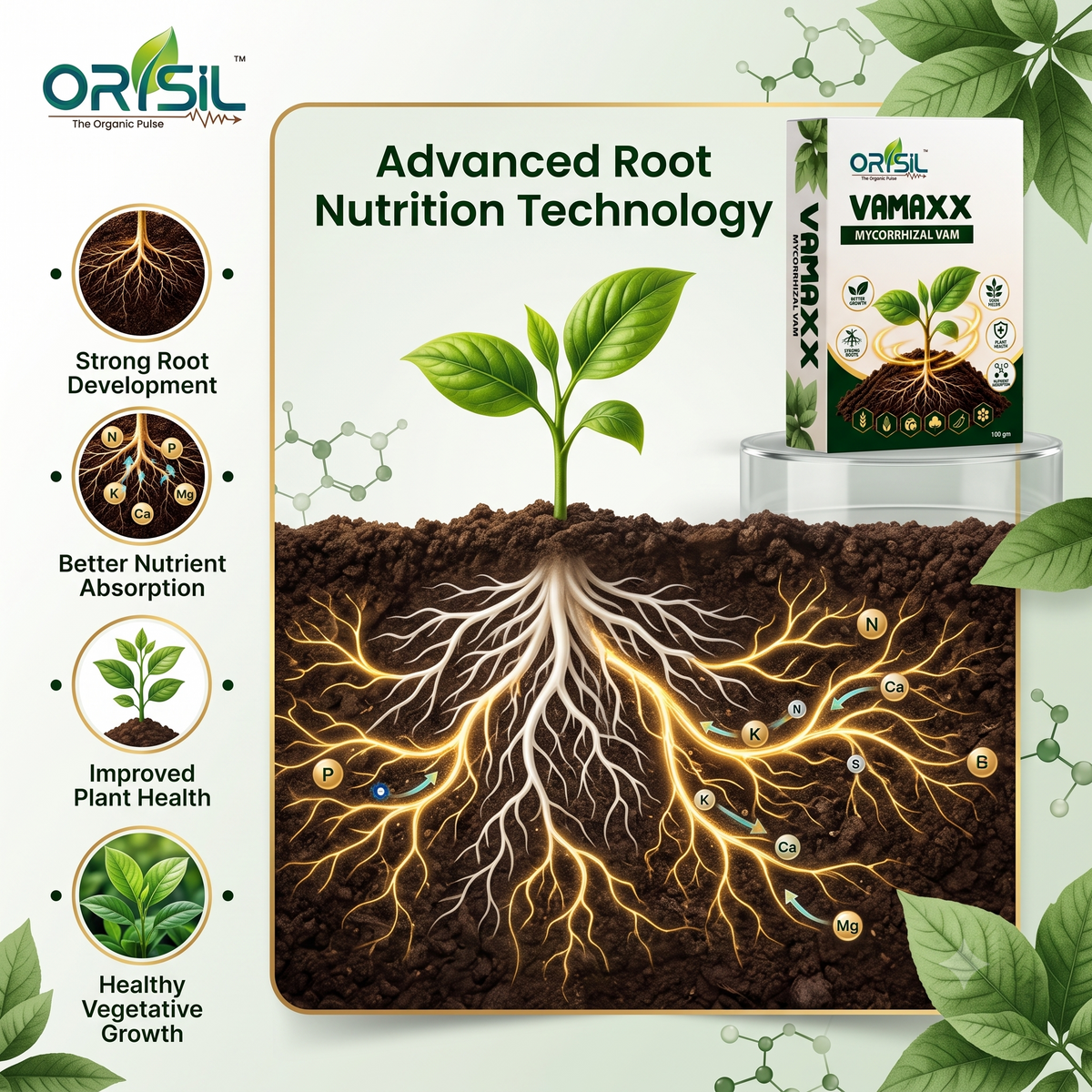Annadata Orisil Vamaxx Mycorrhizal 1,20,000 IP Bio Fertilizer Vam